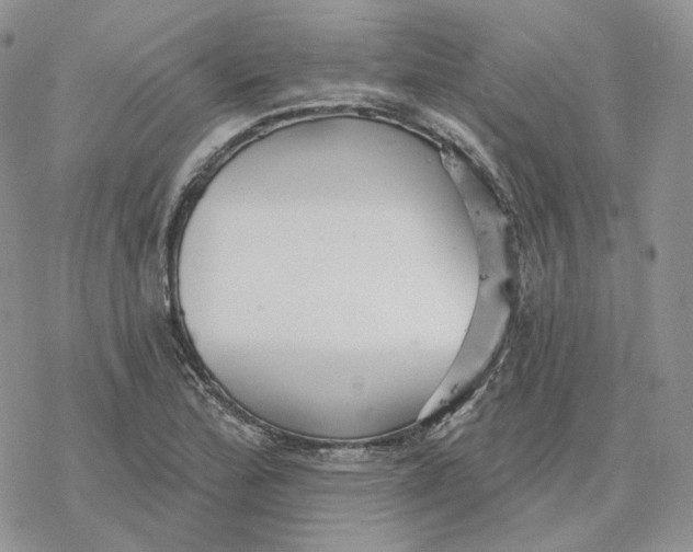 X0000078271172200611251346