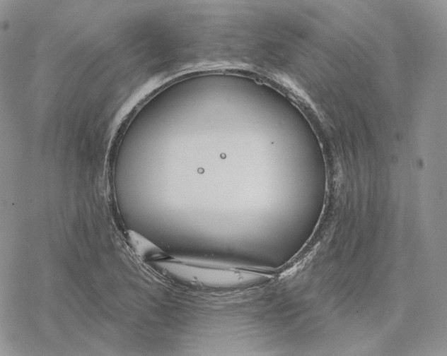 X0000078271173200611251346