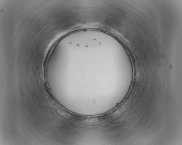 X0000078271174200611251346