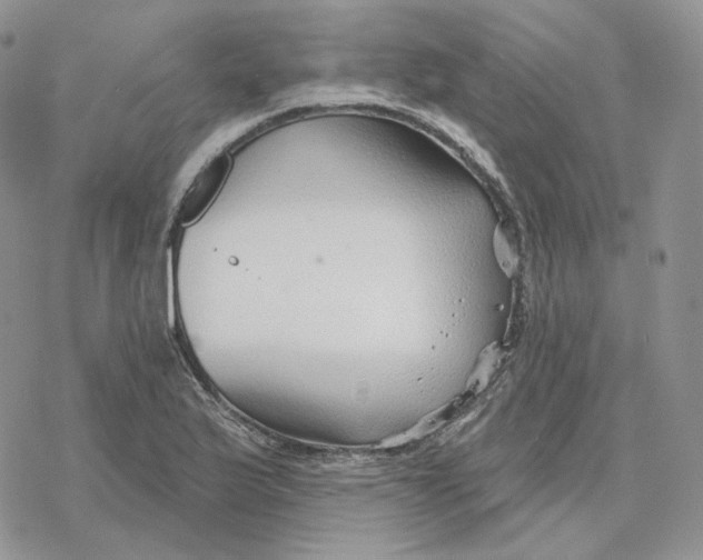 X0000078271175200611251346