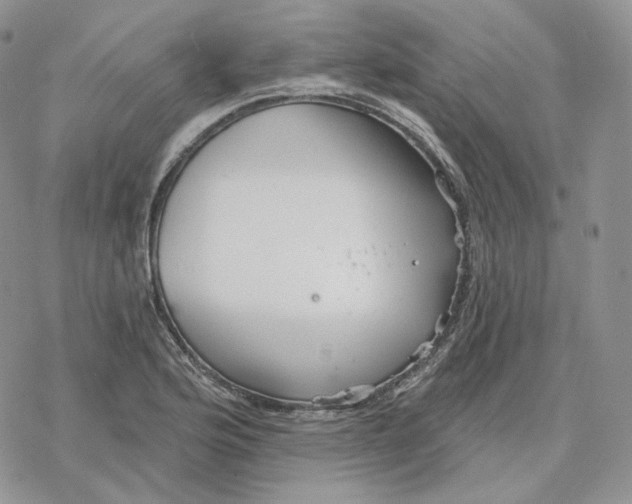 X0000078271176200611251346