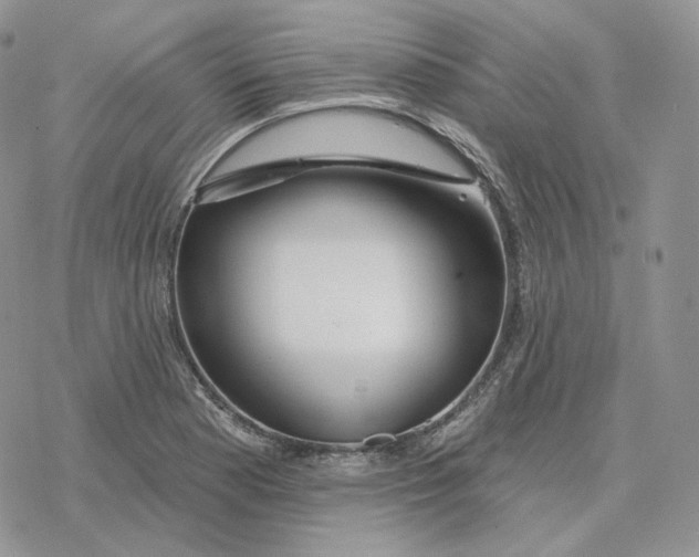 X0000078271177200611251346