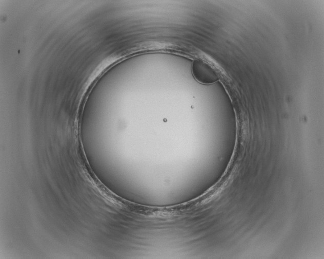 X0000078271178200611251346