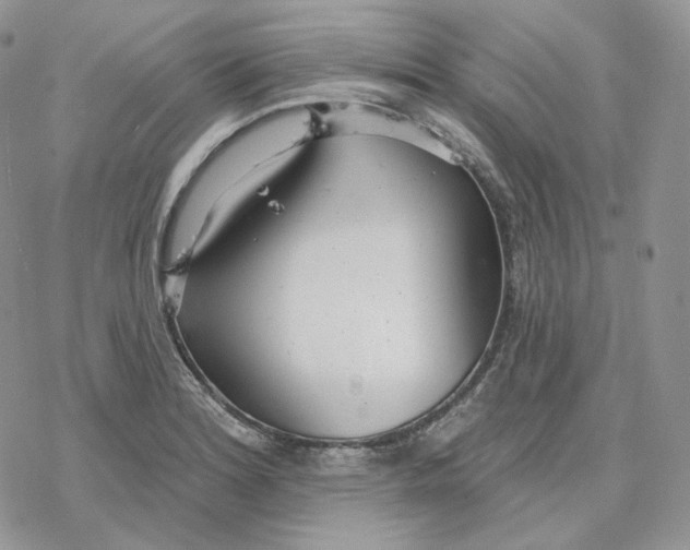 X0000078271180200611251346