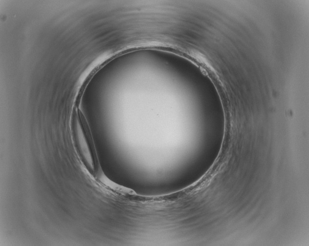 X0000078271181200611251346