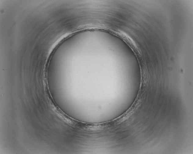 X0000078271182200611251346