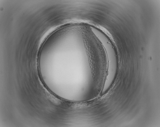 X0000078271183200611251346