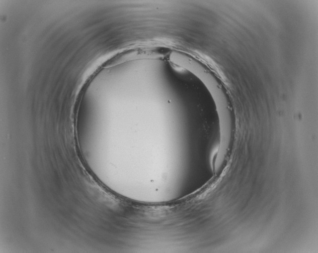 X0000078271184200611251346