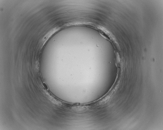 X0000078271185200611251346