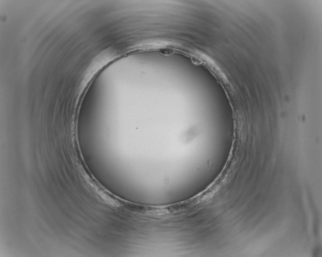 X0000078271186200611251346