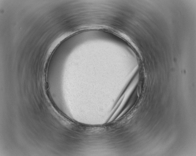 X0000078271187200611251346