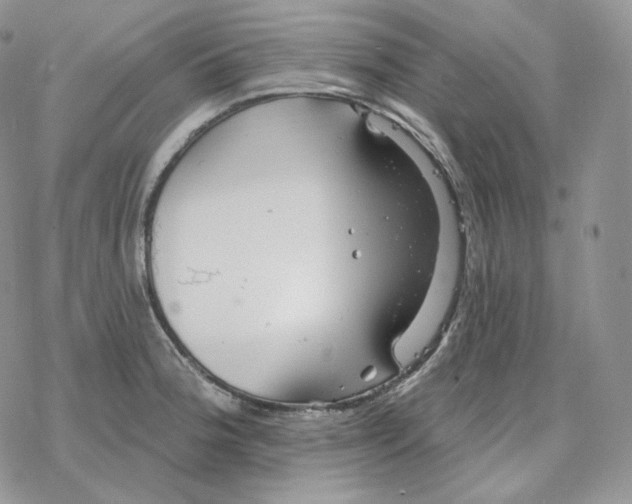 X0000078271188200611251346