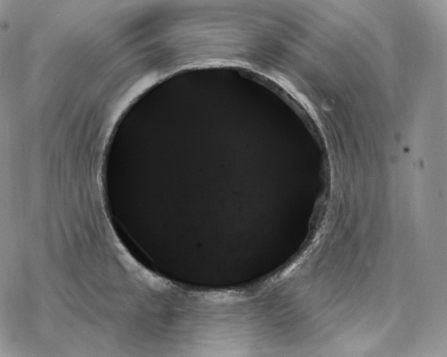 X0000078271189200611251346