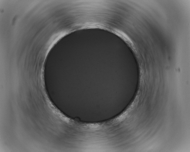 X0000078271190200611251346