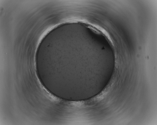 X0000078271191200611251346