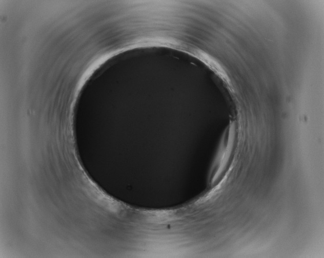 X0000078271192200611251346