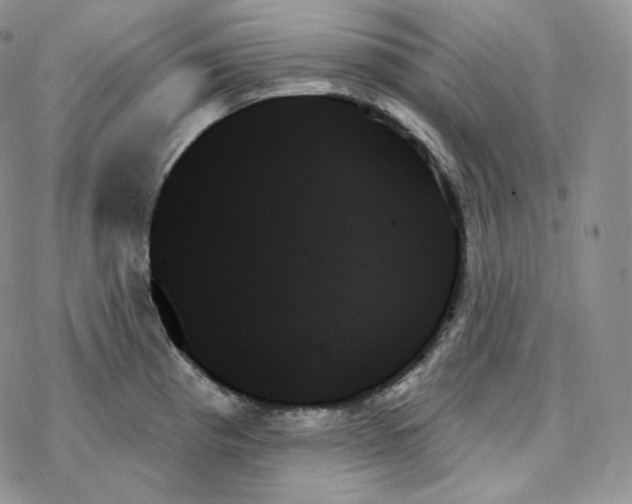 X0000078271193200611251346