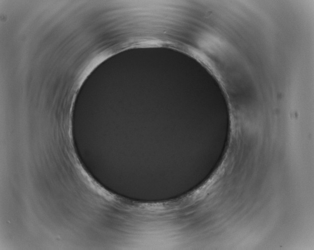 X0000078271194200611251345