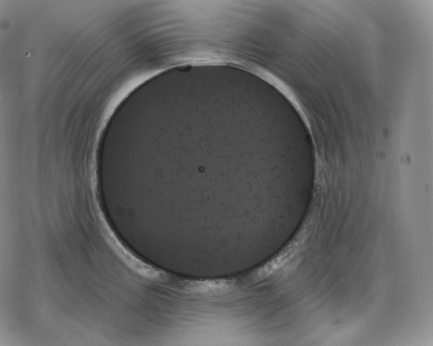 X0000078271195200611251345