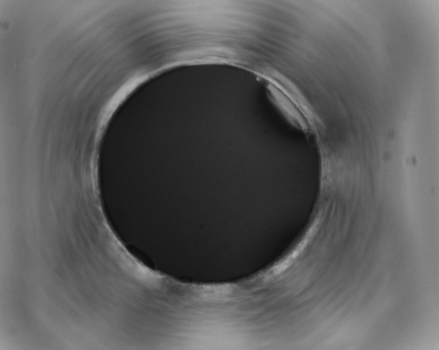 X0000078271196200611251345