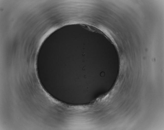 X0000078271197200611251345