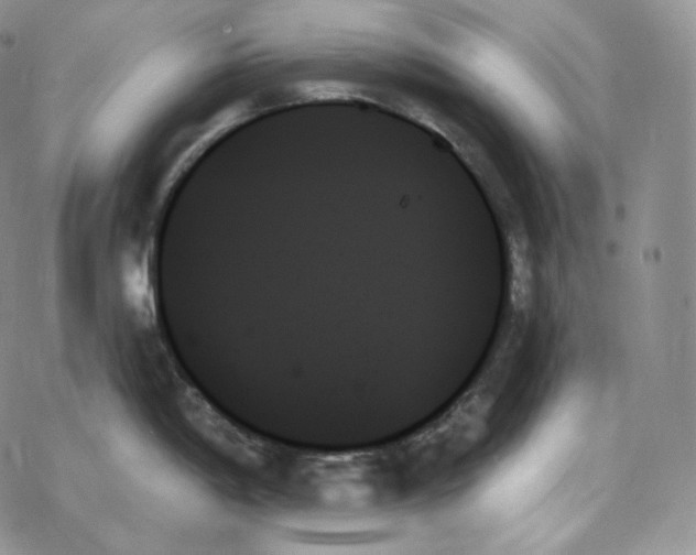 X0000078271198200611251345