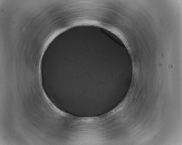 X0000078271199200611251345