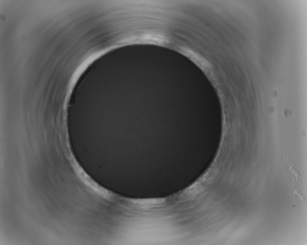 X0000078271200200611251345