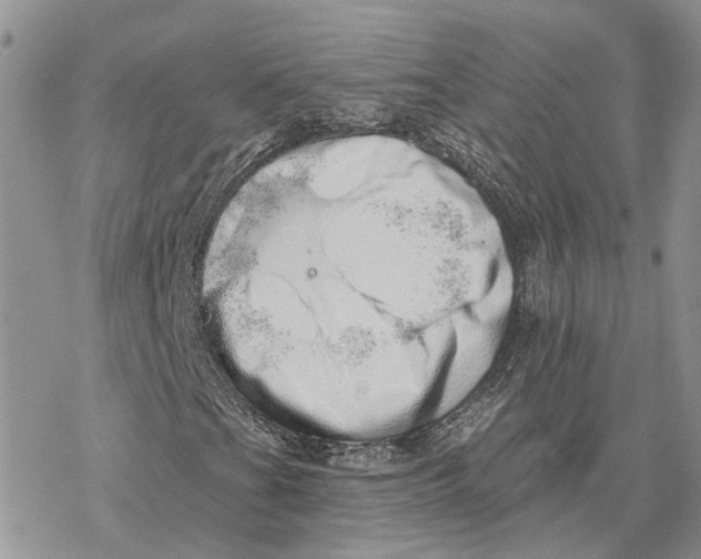 X0000078271201200611251345