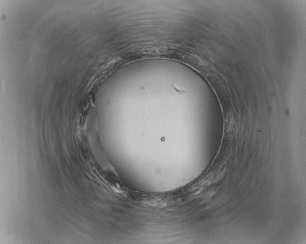 X0000078271202200611251345