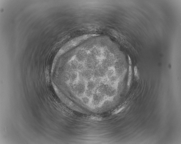 X0000078271203200611251345