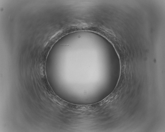 X0000078271205200611251345