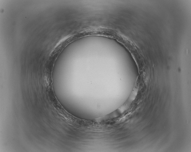 X0000078271206200611251345