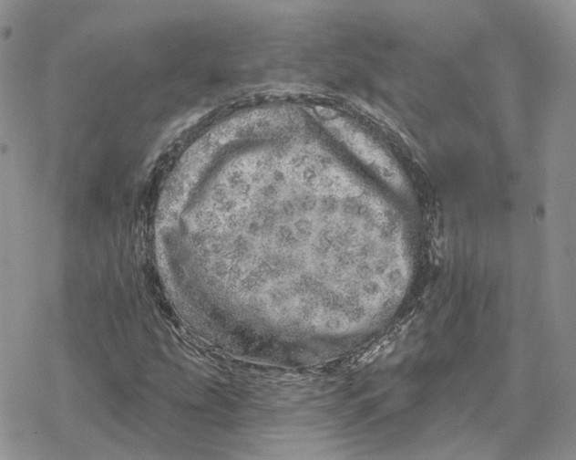 X0000078271207200611251345