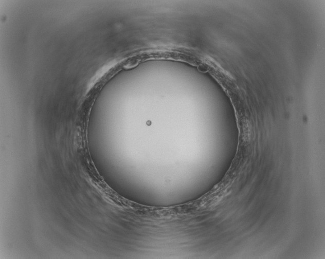 X0000078271208200611251345