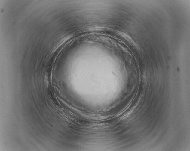 X0000078271209200611251345