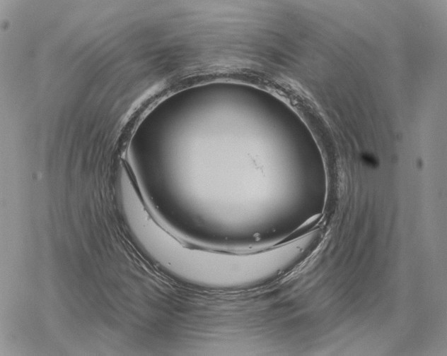 X0000078271210200611251345