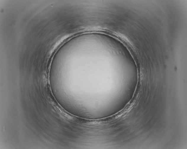 X0000078271212200611251345