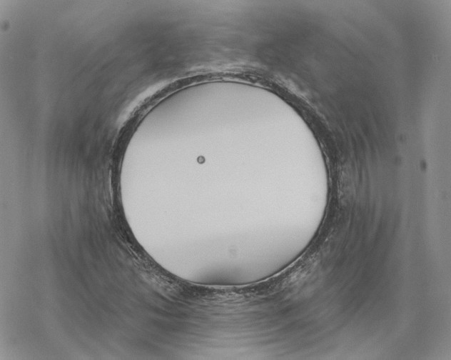 X0000078271214200611251345