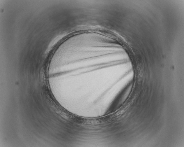 X0000078271215200611251345