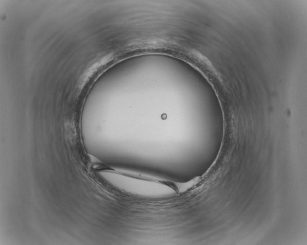 X0000078271218200611251345