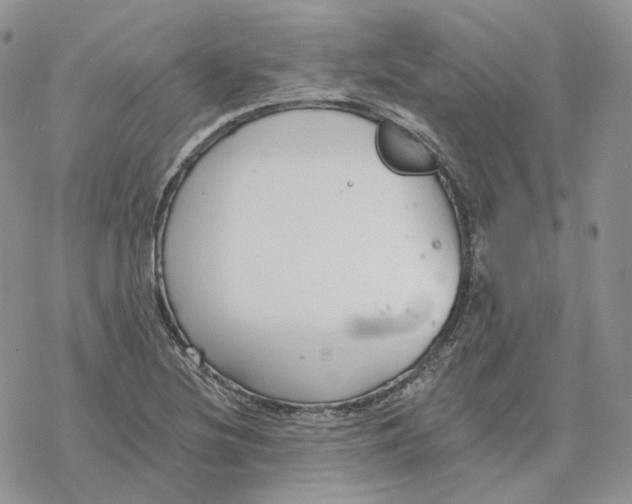 X0000078271220200611251345