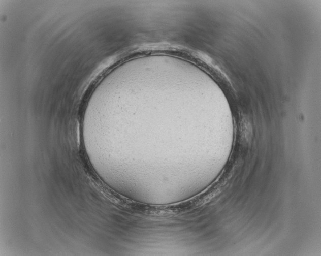 X0000078271221200611251345