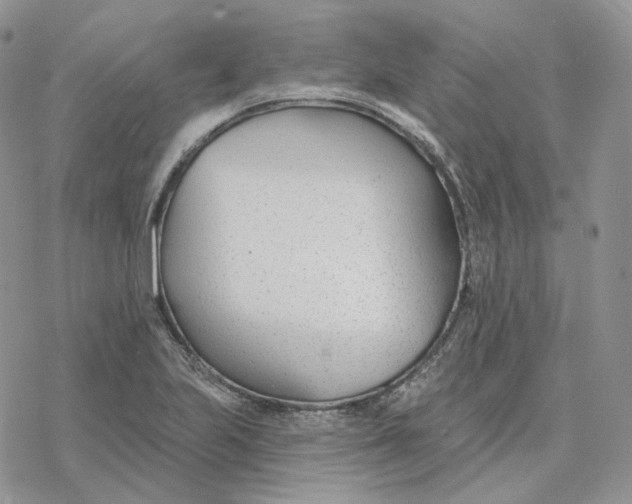 X0000078271223200611251345