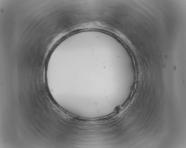 X0000078271224200611251345