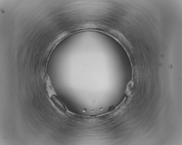 X0000078271225200611251345