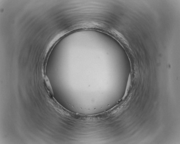 X0000078271226200611251345