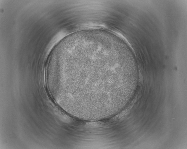 X0000078271227200611251345