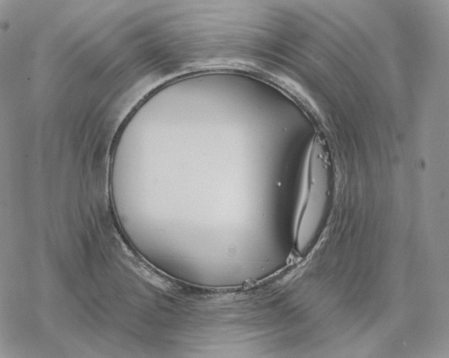 X0000078271228200611251345