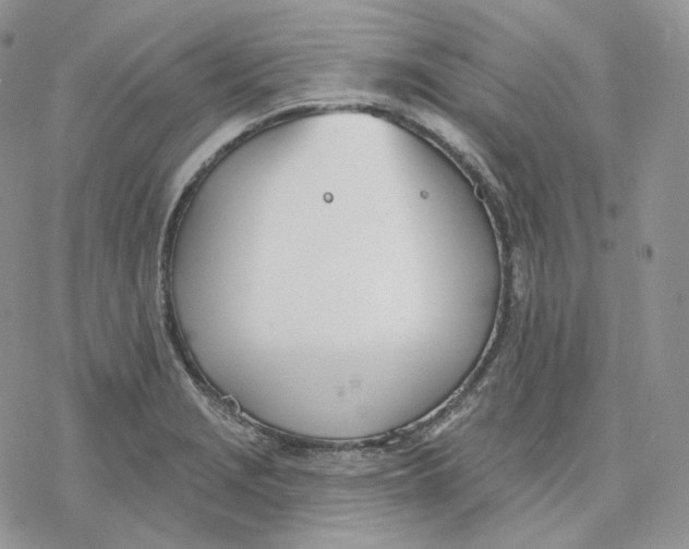 X0000078271229200611251345